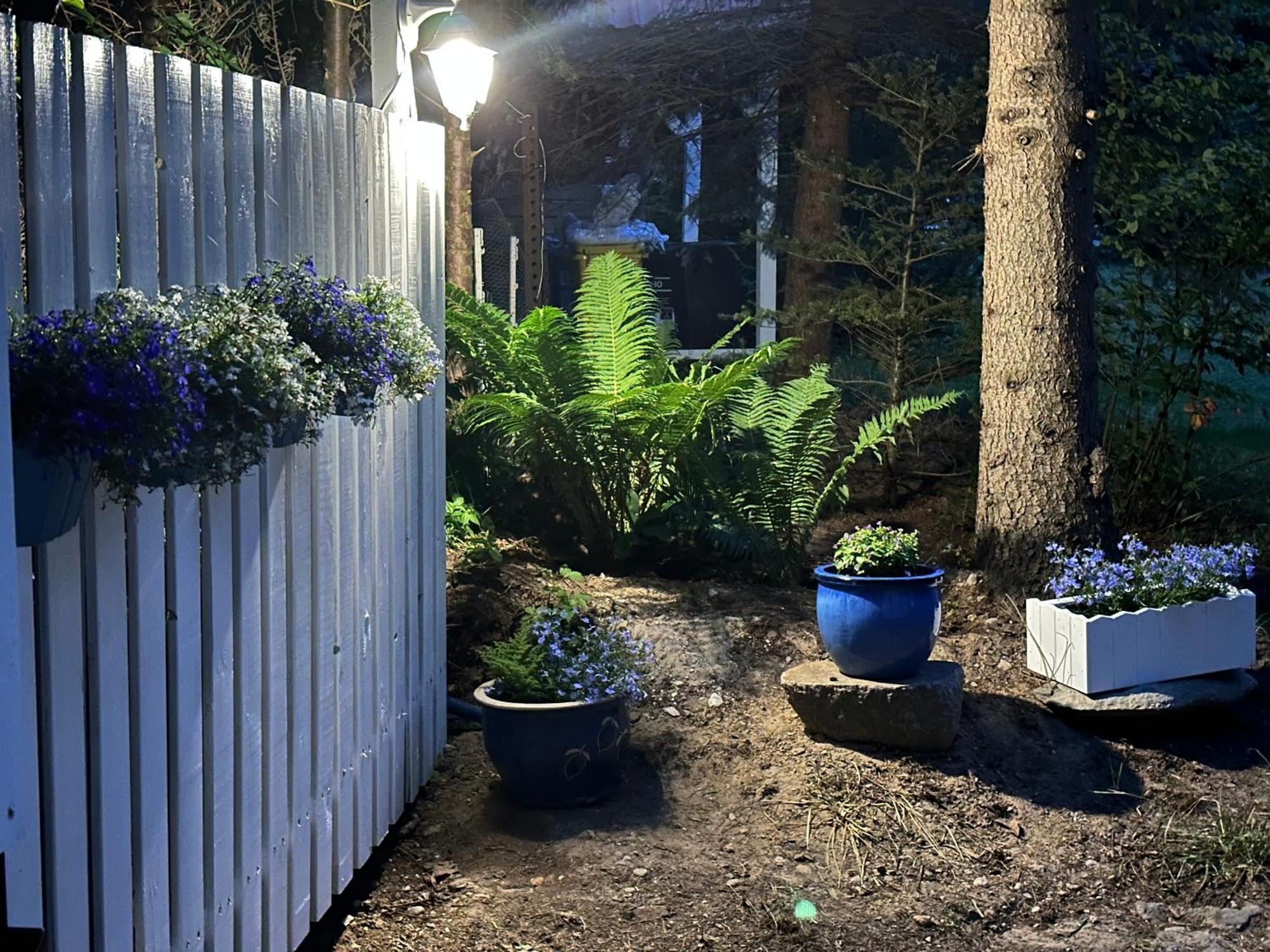 Ferienwohnung Kwiat Paproci Ryn  Exterior foto